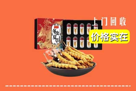 漳州市云霄回收冬虫夏草
