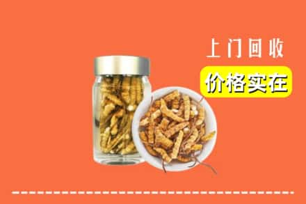 收购资讯:漳州市云霄回收散虫草