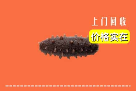 收购资讯:漳州市云霄回收海参
