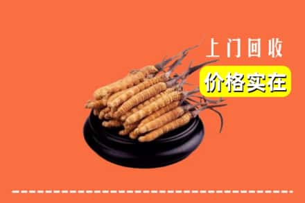 漳州市云霄回收冬虫夏草